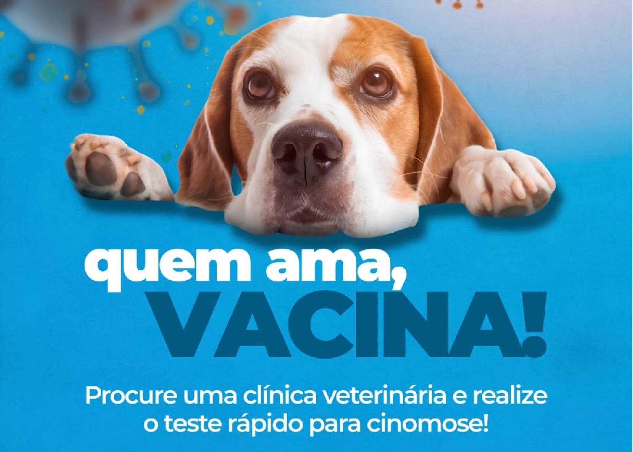Vacina Cinomose